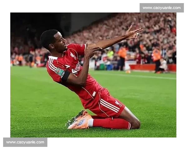 曼联 5000 万欧锁定博尼费斯：弃高价埃基蒂克，锋线补强新方向