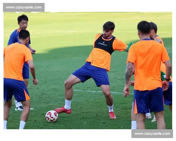 泰山亚冠退赛代价：639 万损失 + 两年禁赛，极端球迷行为成导火索