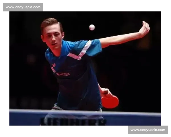 国球荣耀何去何从深度解析乒坛格局与未来！