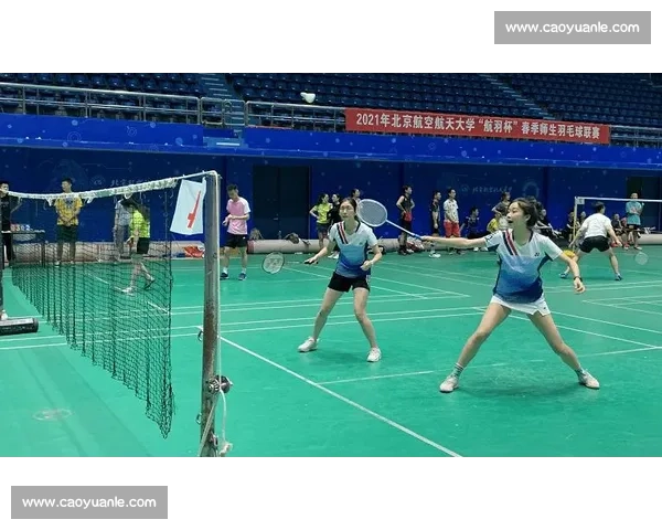 别只看比分！深入解读羽毛球比赛数据，洞察取胜之道