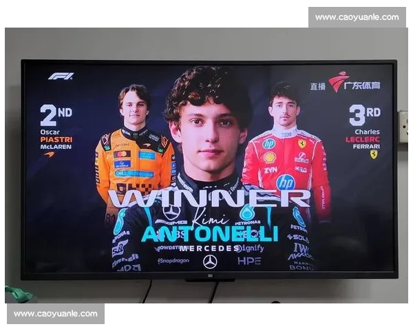 下一个时代的主宰F1积分榜，年轻血液的崛起！